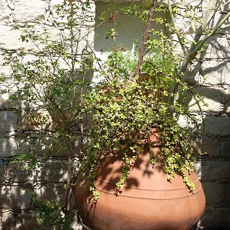 Apartment Kontoyiannis House *