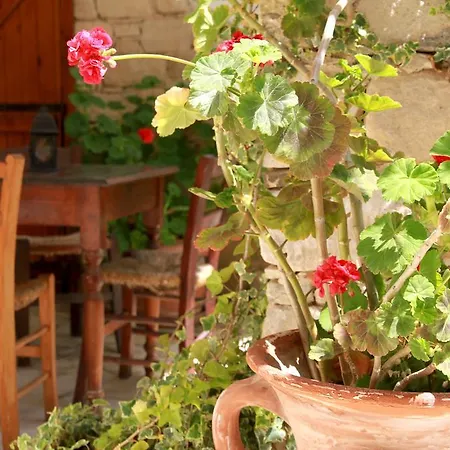 Apartment Kontoyiannis House Kalavasos